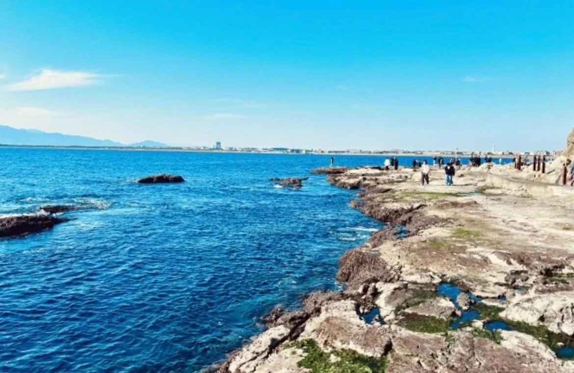 藤沢市 水龍suiryuヴィラ
